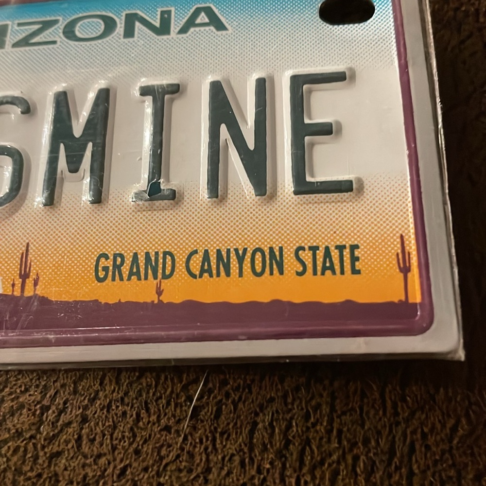 NWT Jasmine Arizona Grand Canyon State bike license plate cactus desert sunset - Picture 5 of 5